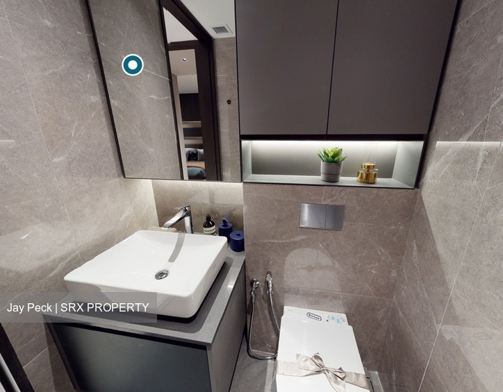 Irwell Hill Residences (D9), Apartment #537620751
